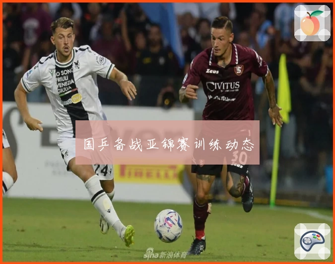 国乒备战亚锦赛训练动态