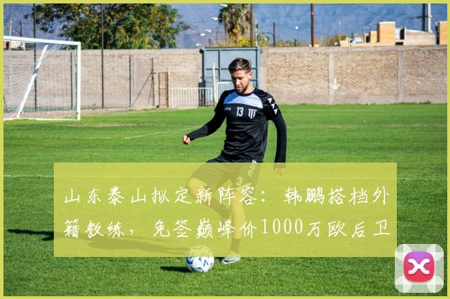 山东泰山拟定新阵容：韩鹏搭档外籍教练，免签巅峰价1000万欧后卫