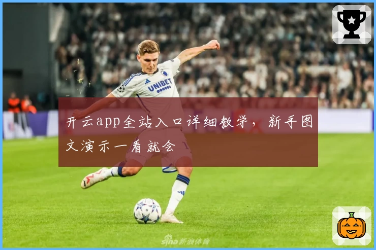 开云app全站入口详细教学，新手图文演示一看就会